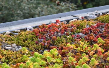 the cost of Smardale green roof installation
