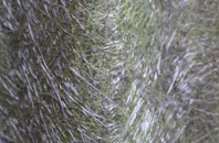 Smardale fibreglass roof work